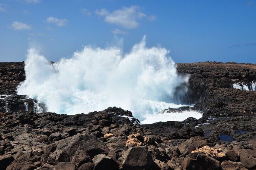 Private Half-Day Island Tour with Shark watching experience from Santa Maria