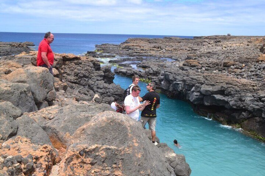 Private Half-Day Island Tour with Shark watching experience from Santa Maria