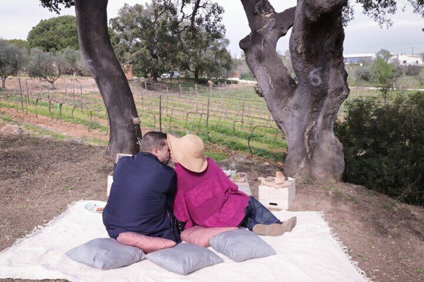 Algarve Romantic Vineyard Picnic