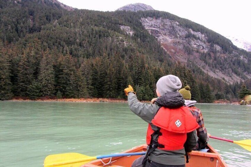 Looking for eagles