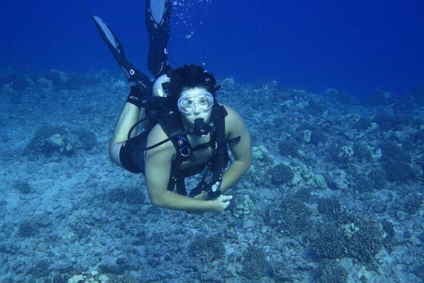 Introductory Beach Scuba Dive - 1 or 2 Tanks