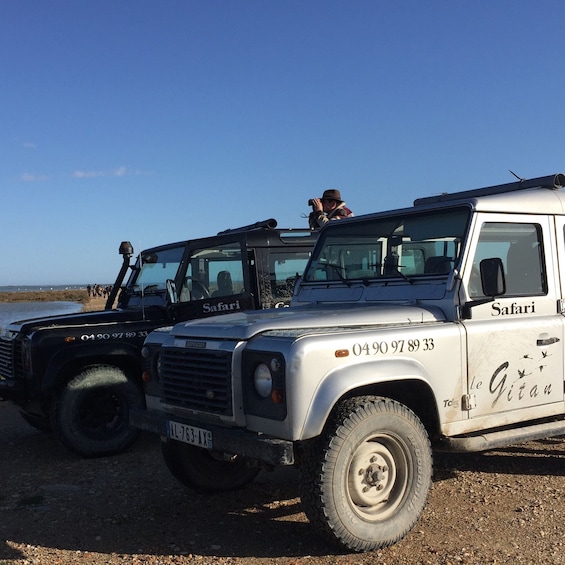 Picture 2 for Activity Camargue: Safari from Saintes-Maries-de-la-Mer