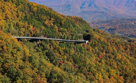 Pigeon Forge : Wears Valley Helicopter Tour