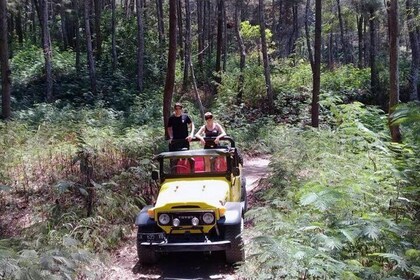 Mount Batur Sunrise Adventure by 4WD Jeep and Natural Hot Spring