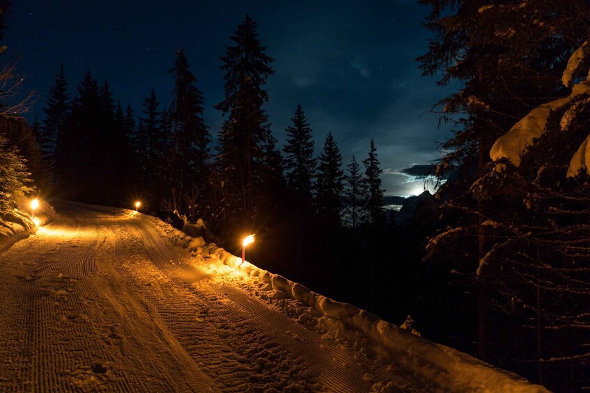 Picture 4 for Activity From Interlaken: Night Sledding