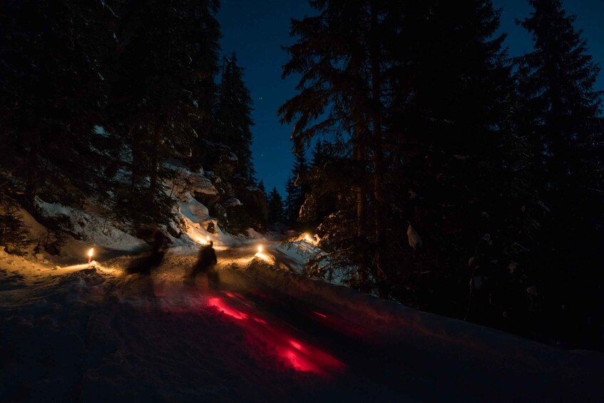 Picture 2 for Activity From Interlaken: Night Sledding