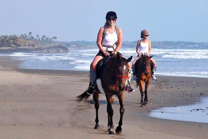 Bali Village Experience Horse Ride