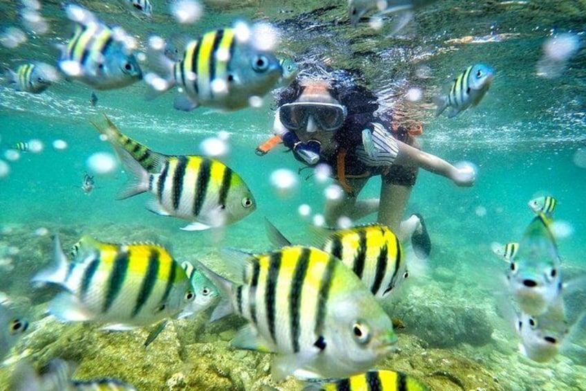 Yogyakarta Nglambor Beach Snorkeling Tour with Private Transport