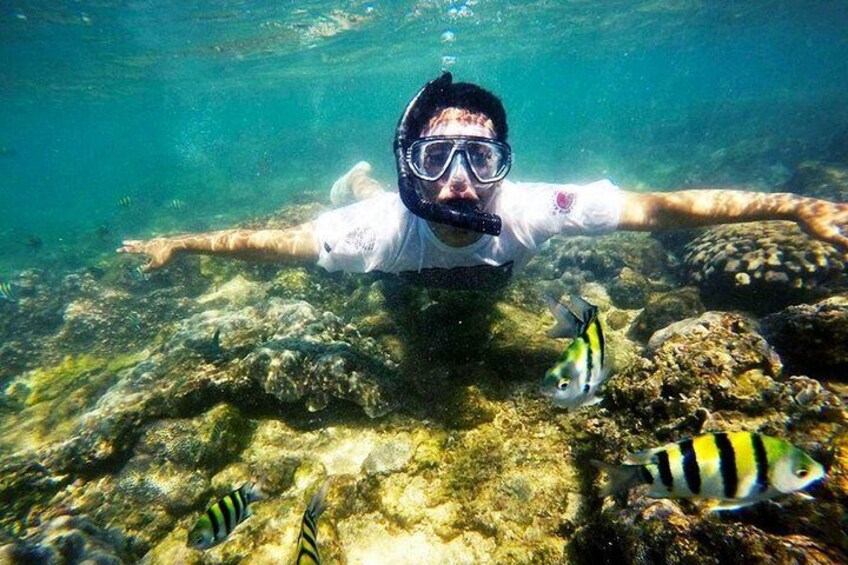 Yogyakarta Nglambor Beach Snorkeling Tour with Private Transport