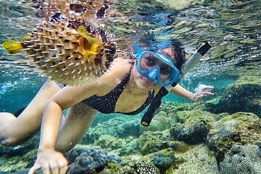 Yogyakarta Nglambor Beach Snorkeling Tour with Private Transport