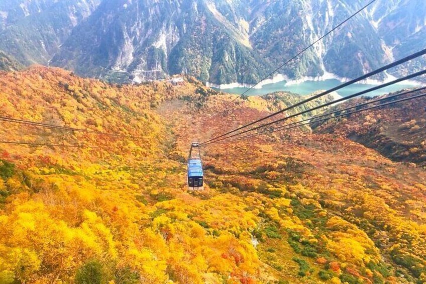 The ropeway often seems as though it floats above a forest of burning colours.
