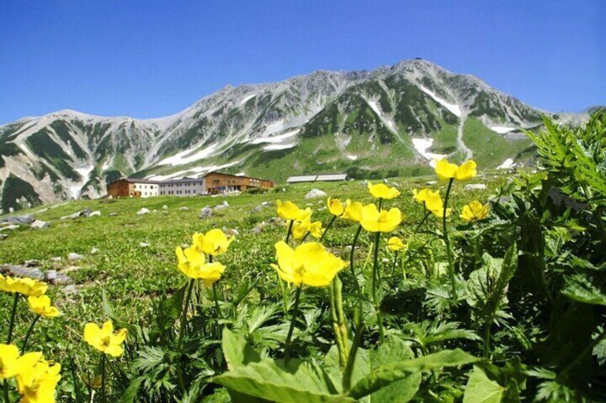 This tour takes you high into Japan's tallest mountain range to walk in the sacred shadow of Mount Tate - one of Japan's three most sacred mountains.