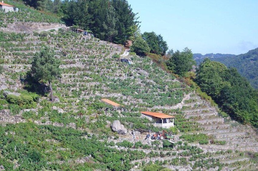 Ribeira Sacra From Lugo