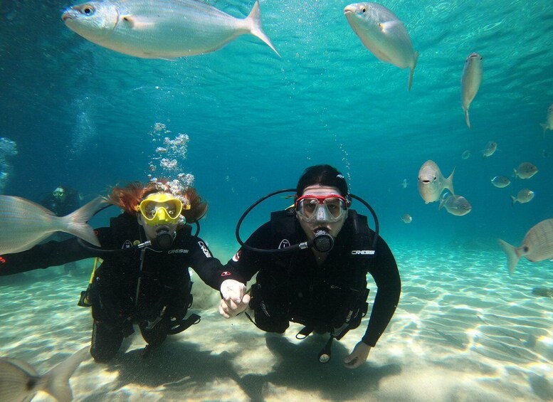 Picture 6 for Activity Lanzarote: Try Scuba Diving for Beginners - 2 Dives