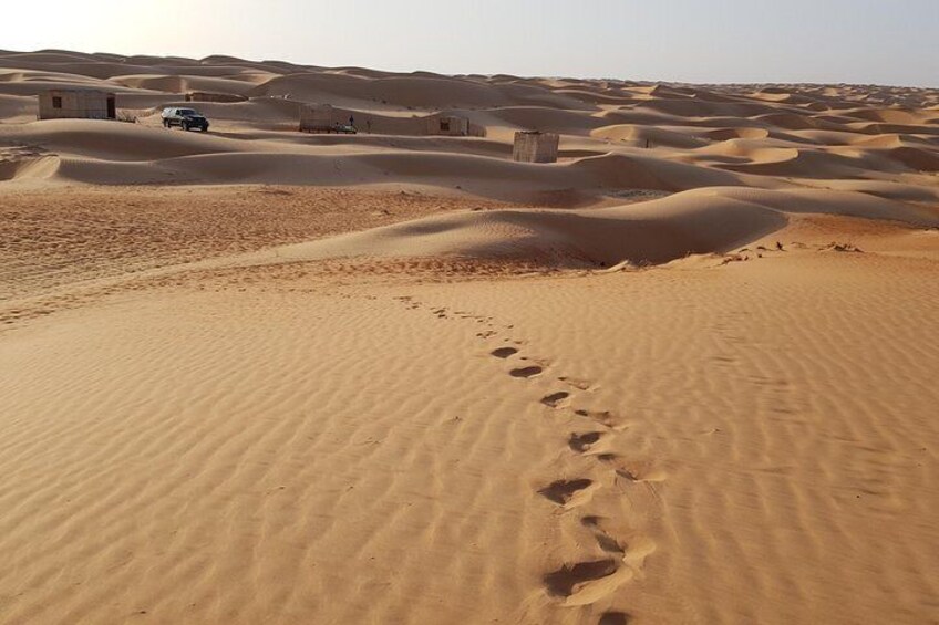 Endless desert landscape