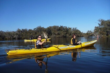 Kayak Tour on the Canning River