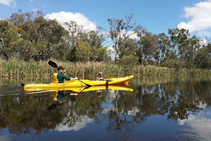 Kayak Tour on the Canning River