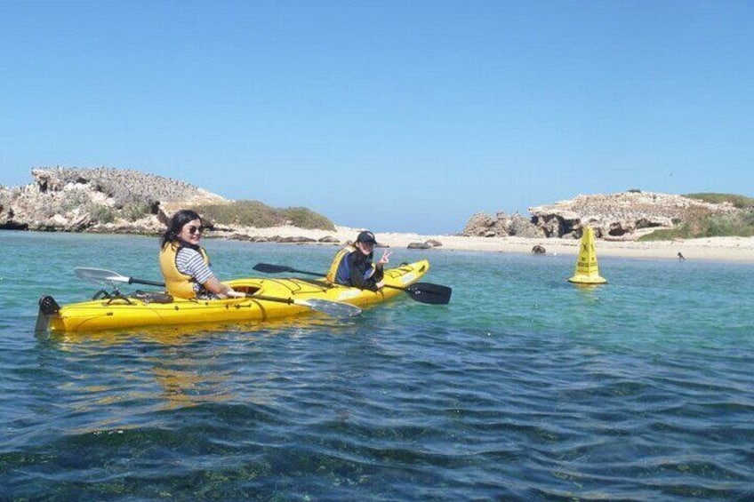 Kayak Tour on the Canning River