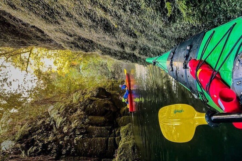 Scenic Lake McLaren Kayak Tour