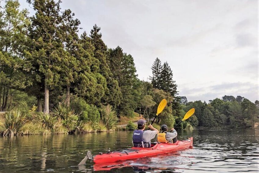 Scenic Lake McLaren Kayak Tour