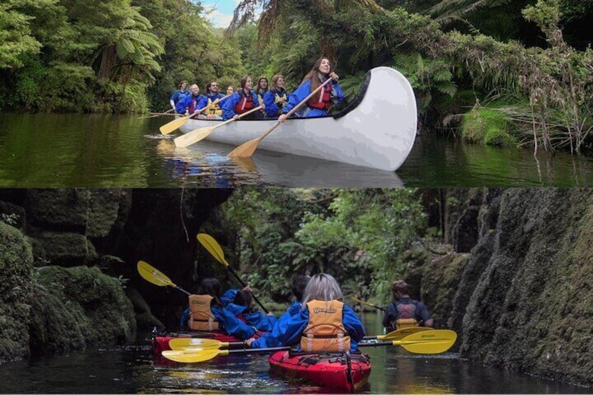 Tauranga: Daytime Scenic Lake McLaren Tour