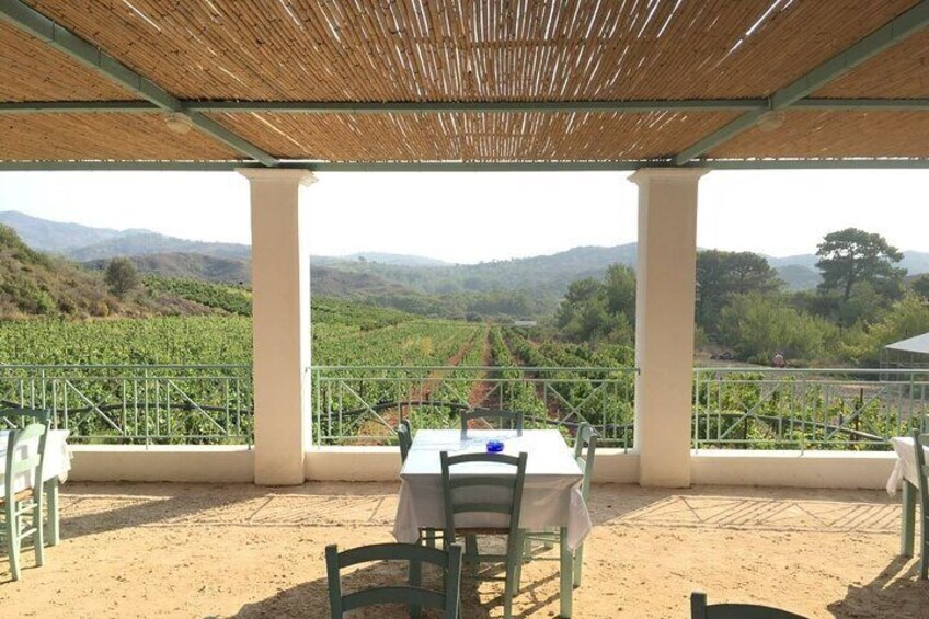 Wine Tasting and Traditional Greek COOKING class