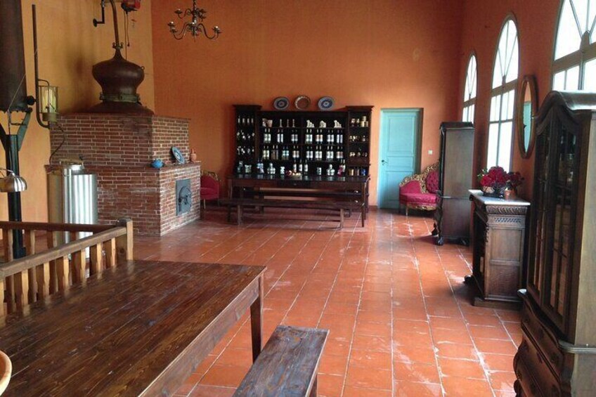 Traditional Greek COOKING class and Wine Tasting in Rhodes