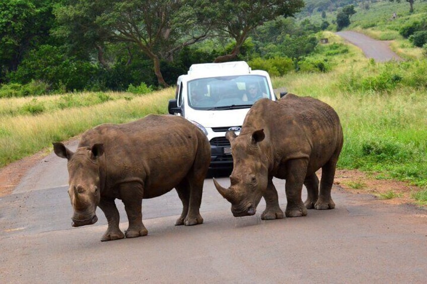 Hluhluwe Imfolozi & DumaZulu Cultural Village Tour from Durban