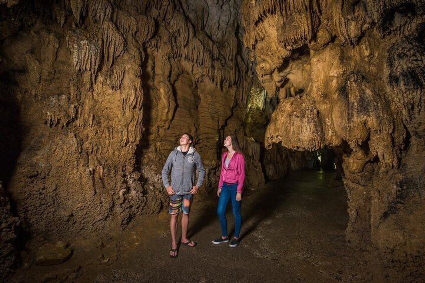 Ruakuri Cave