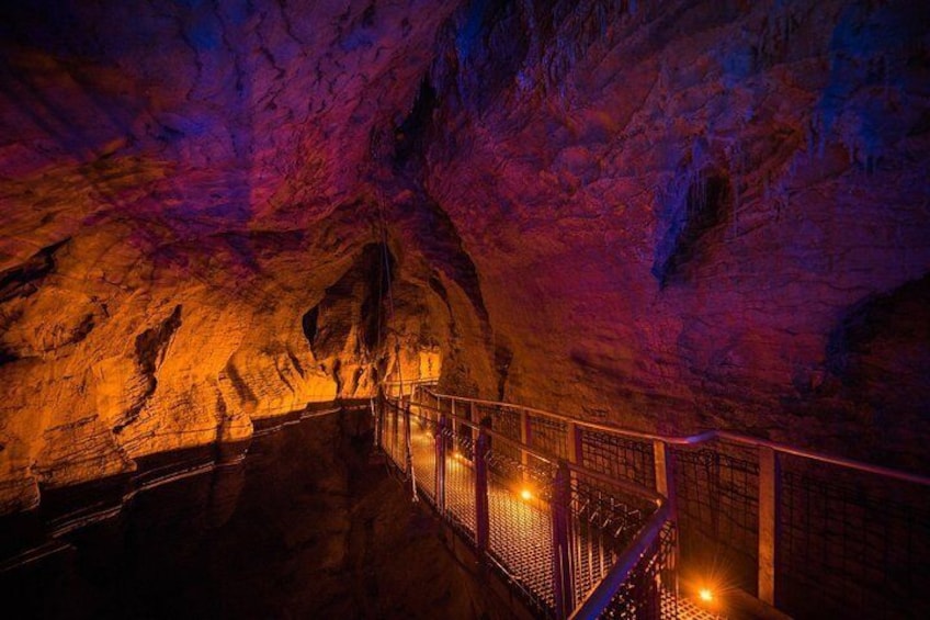 Ruakuri Caves
