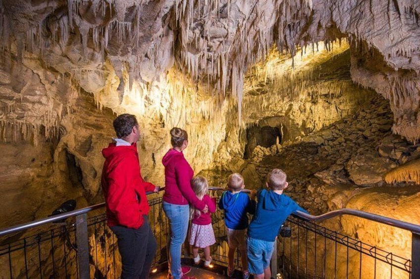 Ruakuri Cave