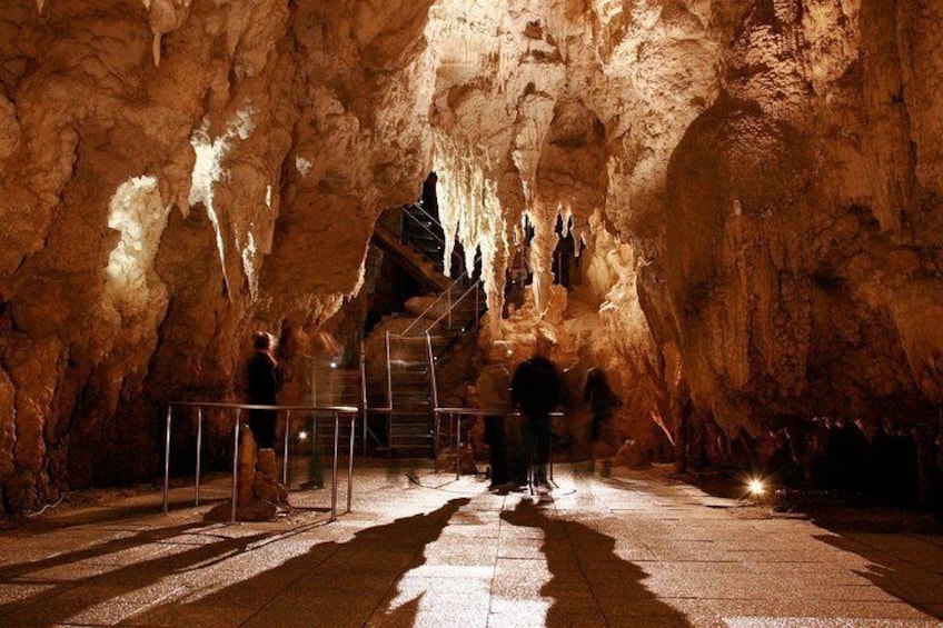 Ruakuri Caves