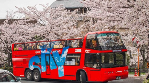 Kioto: billete de autobús turístico con paradas libres