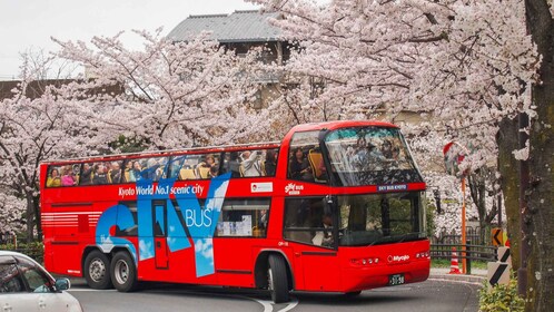 Kioto: Kioto: Hop-on Hop-off Sightseeing Bus Ticket (bussilippu)