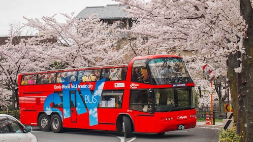 京都：隨上隨下觀光巴士門票