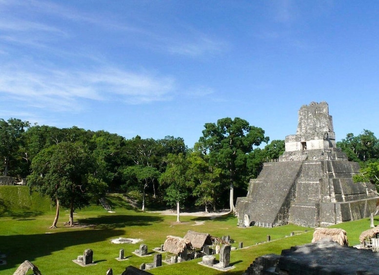 Picture 4 for Activity From San Ignacio: Tikal Maya Site Day-Trip with Local Lunch