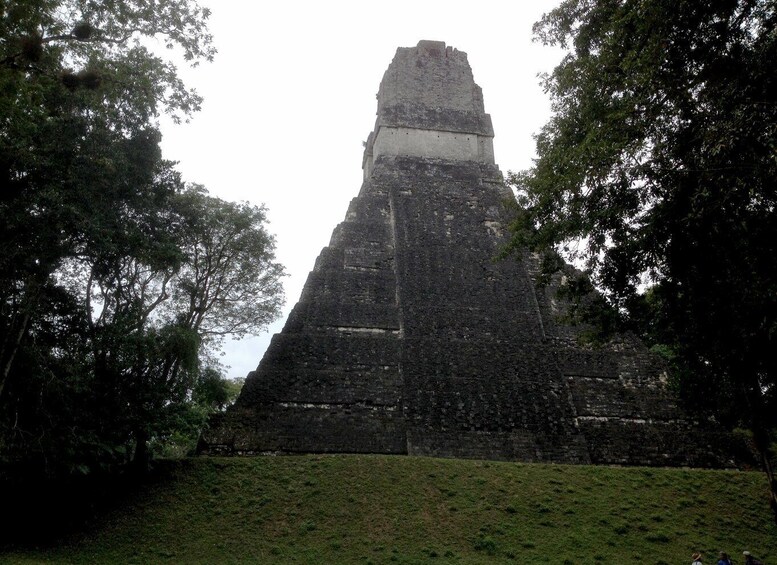 Picture 8 for Activity From San Ignacio: Tikal Maya Site Day-Trip with Local Lunch