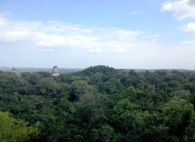 Picture 6 for Activity From San Ignacio: Tikal Maya Site Day-Trip with Local Lunch