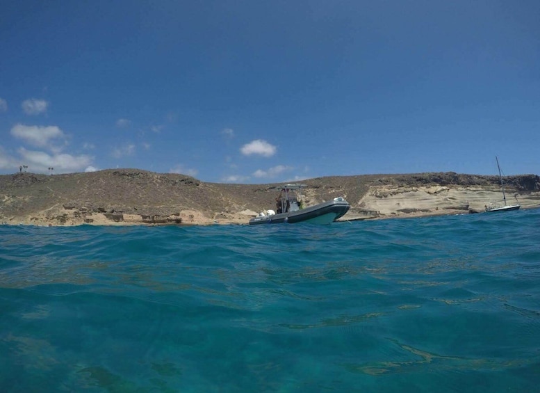 Picture 3 for Activity Tenerife: Underwater Lava Tongues Snorkel Excursion
