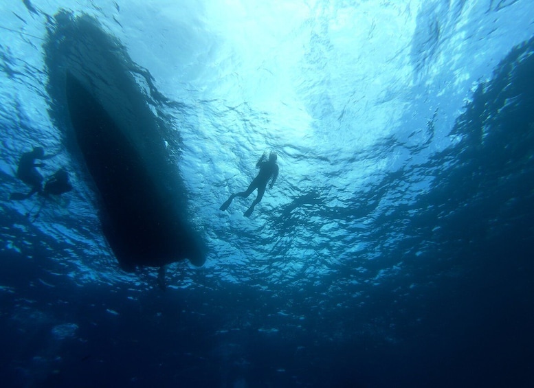 Picture 6 for Activity Tenerife: Underwater Lava Tongues Snorkel Excursion