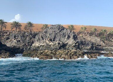 Tenerife : Excursion avec masque et tuba pour découvrir les langues de lave...