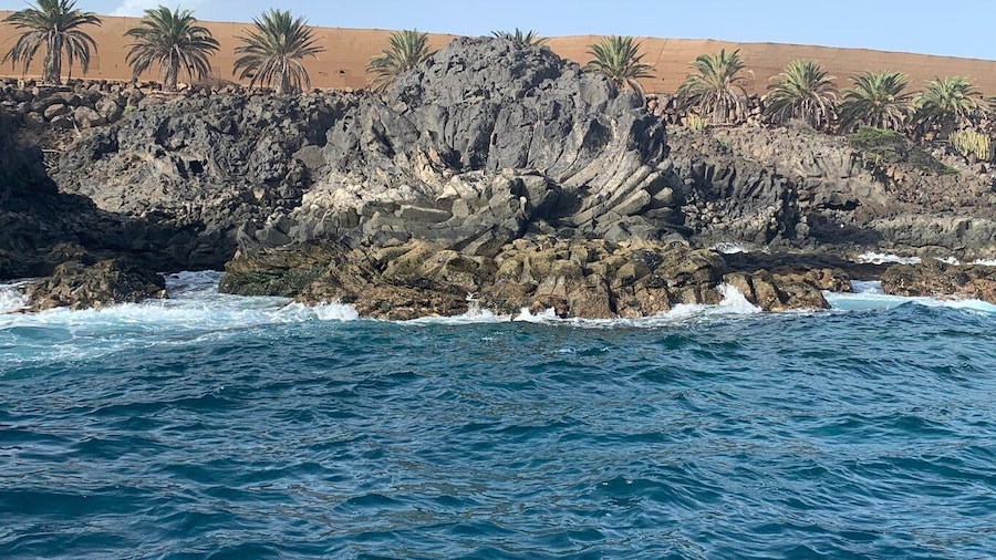 Tenerife: Underwater Lava Tongues Snorkel Excursion
