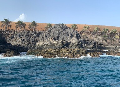 Tenerife: Snorkelexcursie onderwater lavatongen