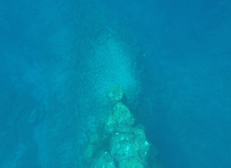 Picture 11 for Activity Tenerife: Underwater Lava Tongues Snorkel Excursion