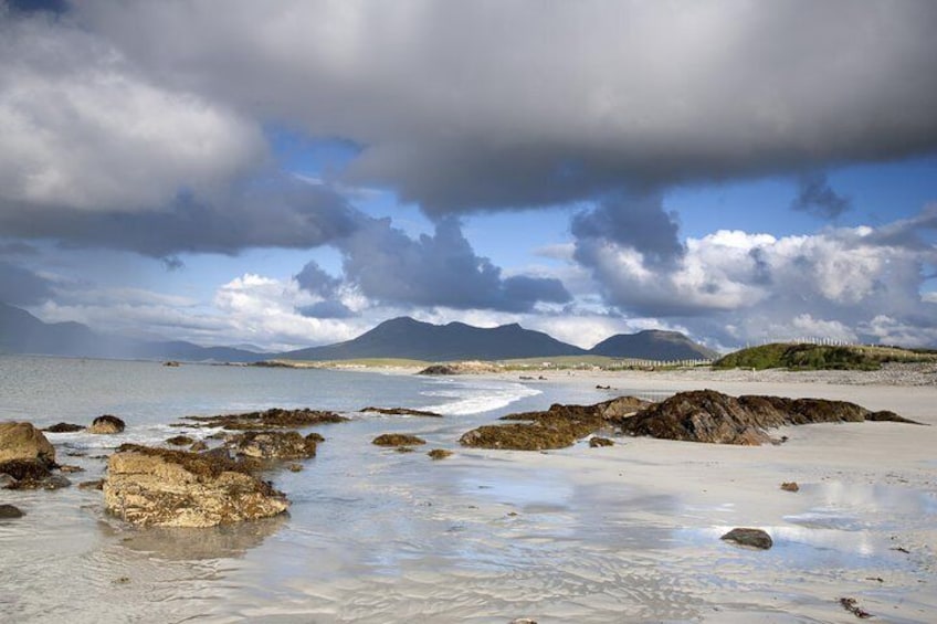 Connemara National Park, Beach & Blanket Bog ecology walk. Private Full-day 