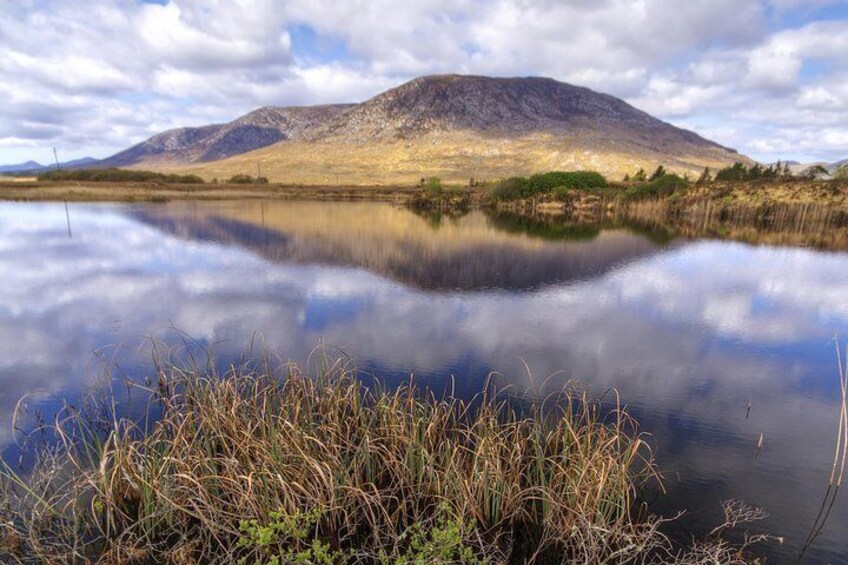 Connemara National Park, Beach & Blanket Bog ecology walk. Private Full-day 