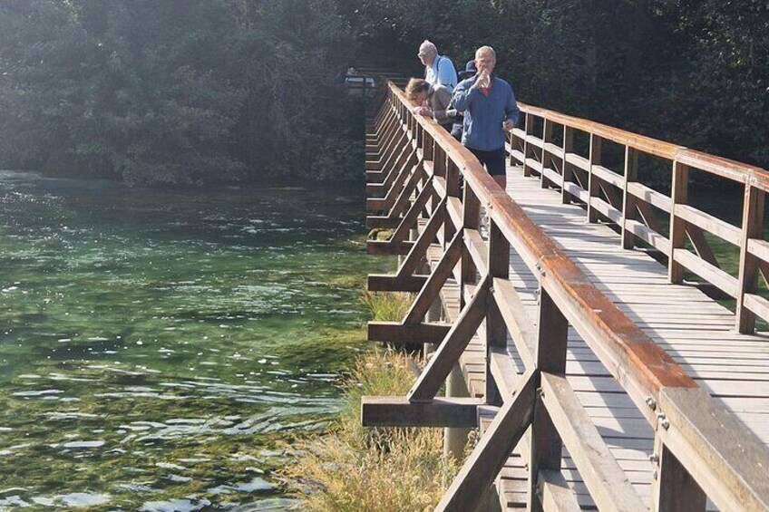 Private Krka Waterfalls with Wine and Prosciutto Shore Excursion