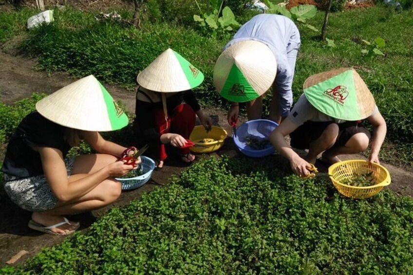 Ho Chi Minh City Full-Day Cooking Class with City Tour