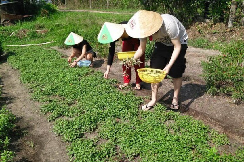 Ho Chi Minh City Full-Day Cooking Class with City Tour