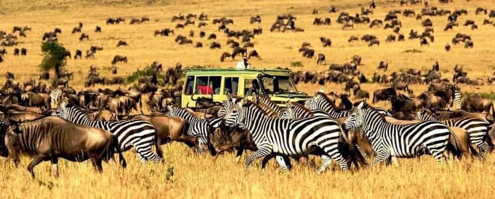 Picture 3 for Activity Nairobi: 3-Day Amboseli National Park Camping Safari